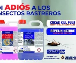 199391186-0-u9IcxrnURA1702634936374.jpeg