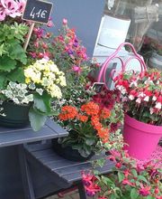 NATURE ET DECO image 3