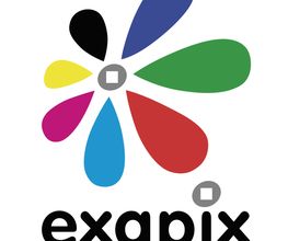 Exapix image 2