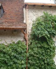 Ambitoit image 8