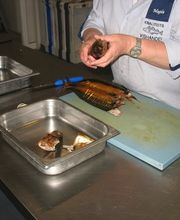 Schot Kwaliteits Vishandel - A Quist