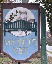 My Pet's Vet image 5