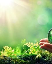 Gippa Energie Genève SA Bild 3