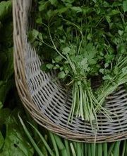 GAMM VERT image 3