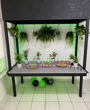 CBD Shop - GreenZone Bild 12