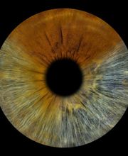 You & Eye Photo Montreux Bild 1