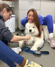 Cainhoy Veterinary Hospital image 12