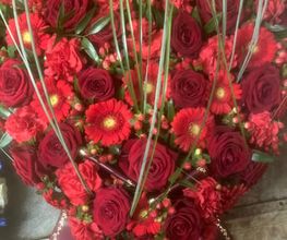 Blumen Sebastian Stransky Bild 6