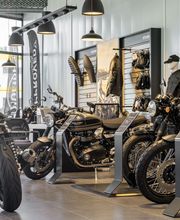 Triumph Bordeaux image 5