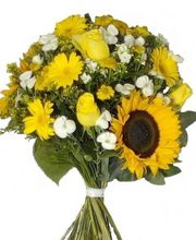 De fleur en fleur image 2