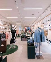 Lacoste Varadero imagen 3