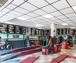 Euromaster Ferdin Gomme immagine 3