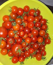 La Ferme du Morillon LFDM image 5