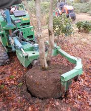 Les Pépinières de Kerfandol image 6