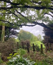 En Vie...d'Arbres image 3