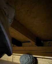 Höfler Schädlingsbekämpfung Bild 5