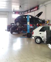 Gallery Cliente