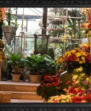 Delaveau Eric-pierre image 1