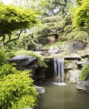 Baumpflege Dreyer Althoff Bild 6