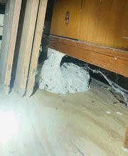 CF Service image 17