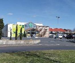 GAMM VERT image 4