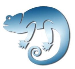 Silvia Wünsche Emmett Therapie