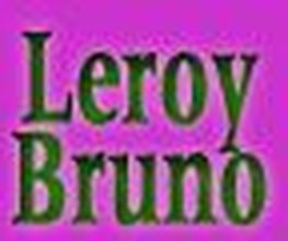 LEROY ESPACE VERT image 2