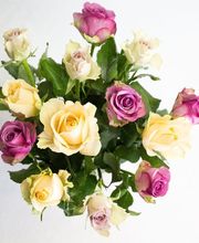 Floristik natürlich Bild 1