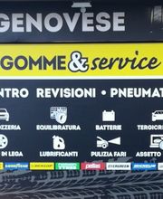 Gallery Cliente