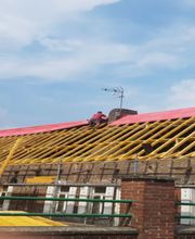 Fourmestraux Dominique image 4