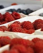 Madörin Hofladen Gillhof Bild 1