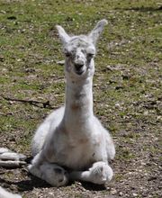 Erlebniswelt Seeteufel Bild 4