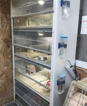 AmaitaVet Clínica Veterinaria imagen 17