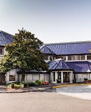 The Old Spaghetti Factory image 1