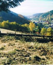 Pension Steinbergsblick Bild 6