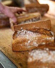 Sievers Backstube Bild 10