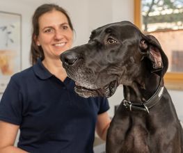 Tierarzt Steinbauer Scheuring, Tierarztpraxis Gut Lichtenberg Bild 7
