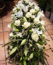 Au Flamboyant Bild 7