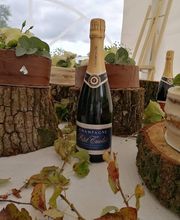 Champagne Petit-Triolet image 13