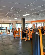 Basic-Fit Haarlem Bernadottelaan - strength zone