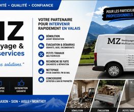 MZ Nettoyage Multiservices Bild 1