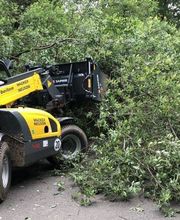 Hausmeisterservice Schön Bild 10