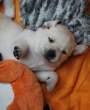 Tanja Wiedenmann Bild 17