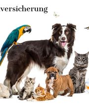 Jens Horn Tierkrankenversicherung