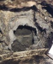 Double Scope Inspections, LLC image 13