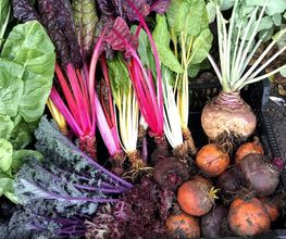Your Nutritional Therapist Bild 13