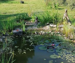 Les Jardins D'helya image 1
