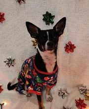 Cynthia A. Bolton, DDS image 9