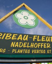 Ribeau-Fleurs image 3