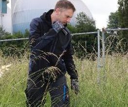 DETEK Schädlingsbekämpfung & Kammerjäger Bottrop - NRW Bild 8